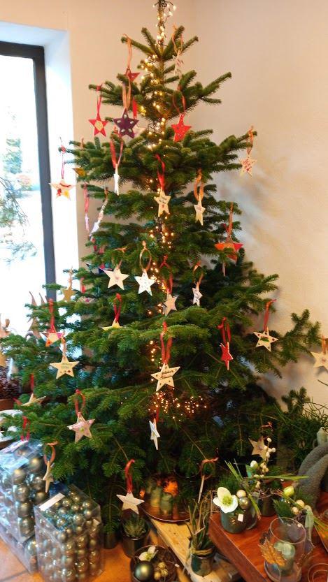 Ein Weihnachtsbaum voller Wunschsterne – hier bei „Blatt und Blüte“ in Vörden